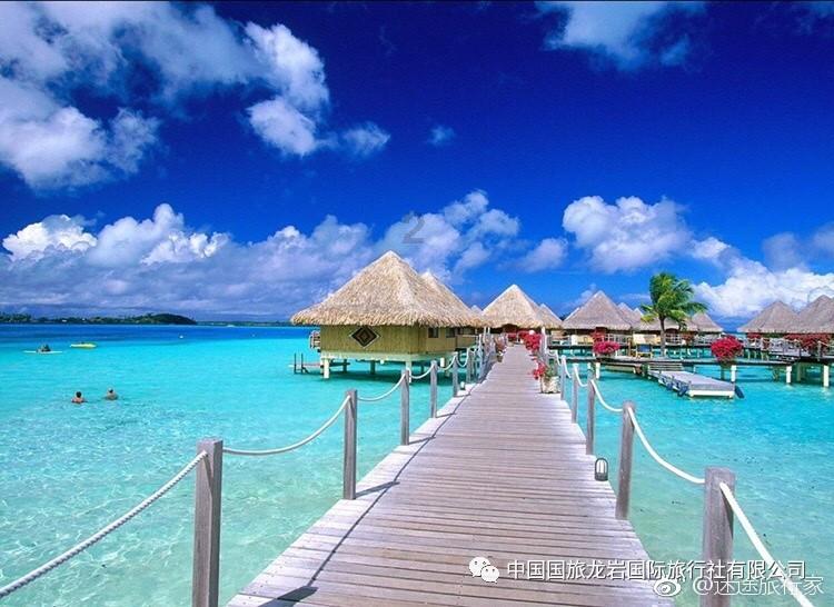 夏天的新娘